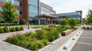 What Are Stormwater Management Solutions, and Which One Fits My Property?